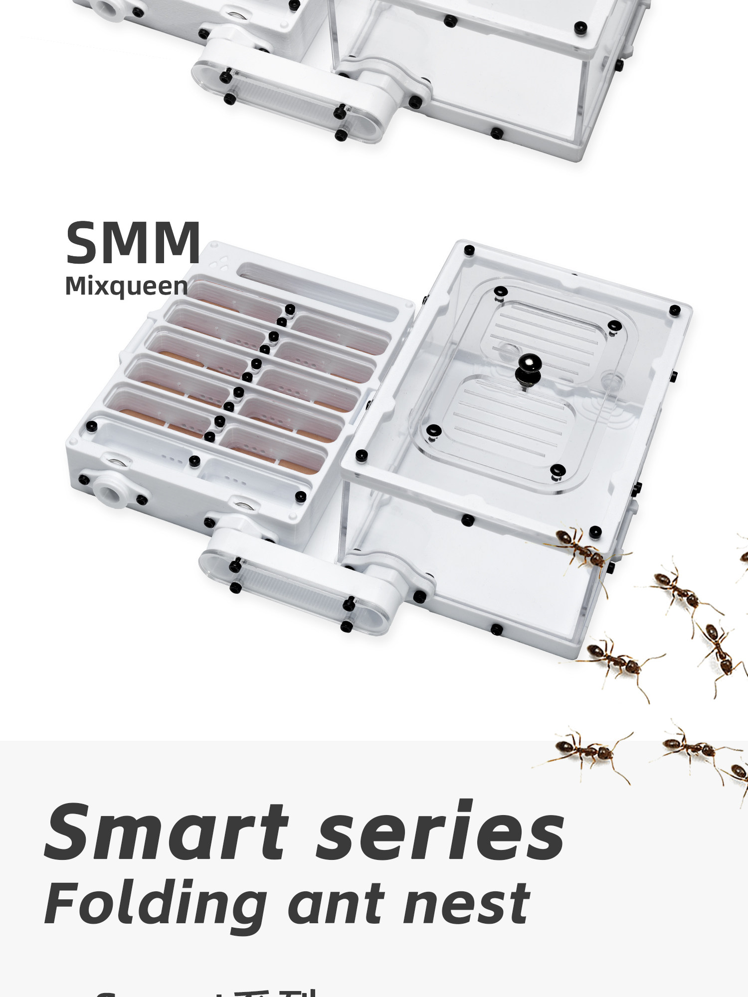 Stampante 3D Serie S: Box Ecol - Enclosure 3D Printing recensione e prezzo