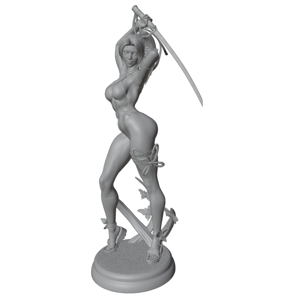 1/24 Femmina 	 Kit di modellin - 3D Printing Article recensione e prezzo